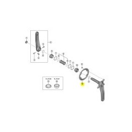Plato de 12v 30D Shimano MT610