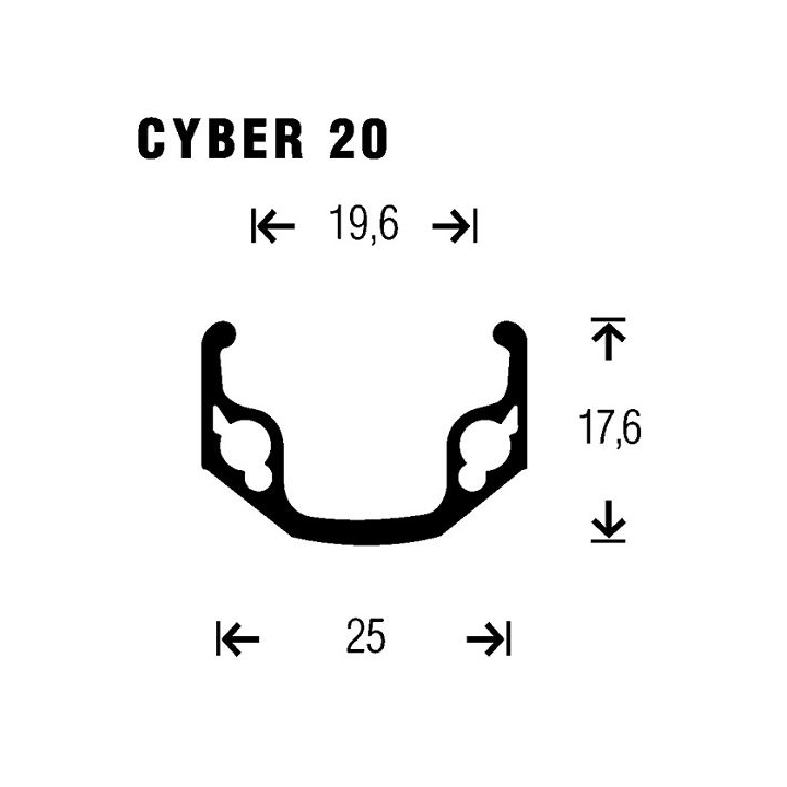 Rueda trasera Gurpil CYBER20 26 negra C/Disco Rosca