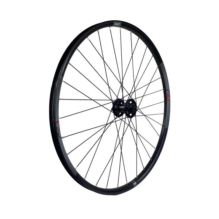 Rueda delantera Gurpil NEU 29 6T HG
